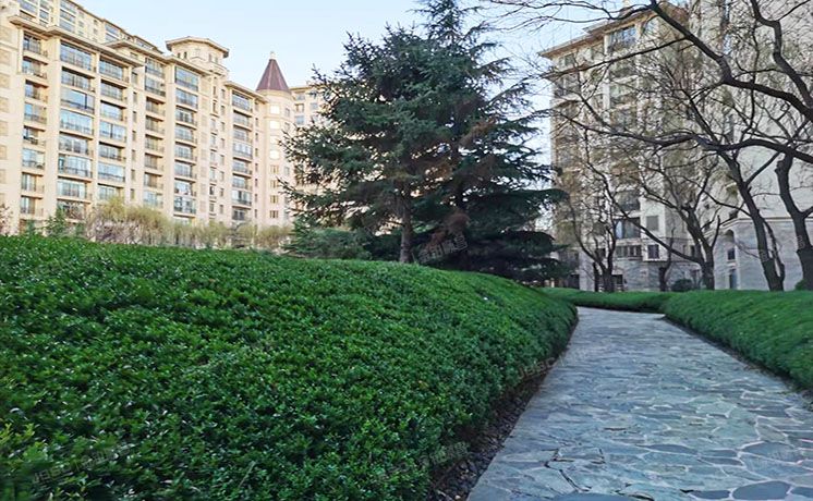 朝阳区 四季星河中街1号院9号楼2层2单元202号（星河湾朗园）