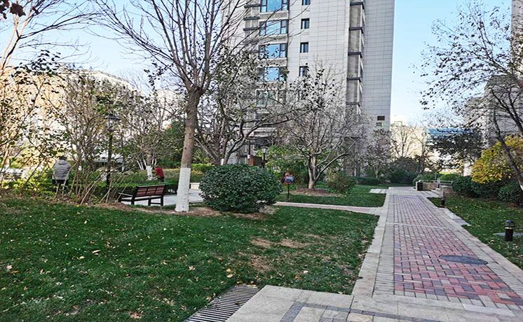 朝阳区 创达路61号院3号楼12层2单元1203（臻园）