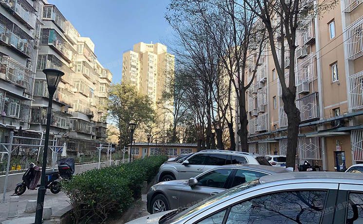 朝阳区 安贞里二区7号楼6层4门603（安贞里二区）