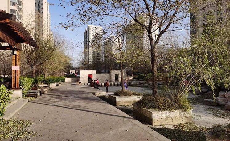 朝阳区 朝阳路7号院11号楼20层1单元2002（北京新天地）