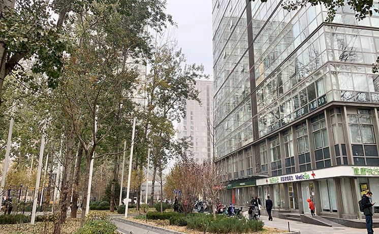 朝阳区 霞光里66号院2号楼20层2003号（远洋新干线）