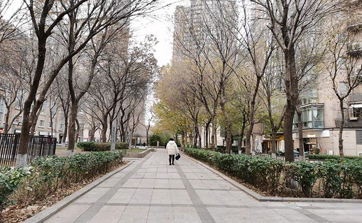 朝阳区 东四环北路6号二区26号楼8至9层8单元0902（阳光上东）