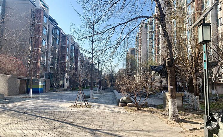 朝阳区 林萃东路2号院19号楼4层2单元401号（国奥村东区）