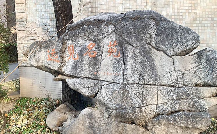 西城区 红居街8号楼16层1605号（远见名苑）