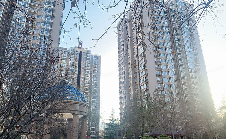 西城区 红居街8号楼16层1605号（远见名苑）