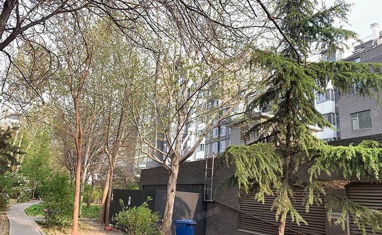 西城区 右安门内10号院1号楼三层5单元302号（凯迪尚府）