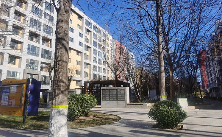 顺义区 望泉家园34号2至3层1单元202（万科四季花城）