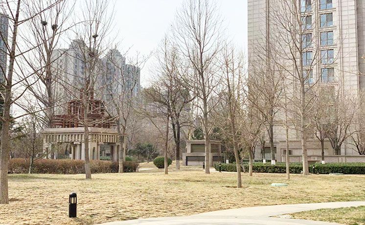 朝阳区 辛庄一街28号院2号楼15层1单元1801（泛海国际）