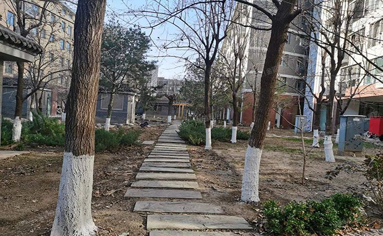 东城区 金鱼池中街2号院4号楼6层703（金鱼池中街2号院）非配套办公