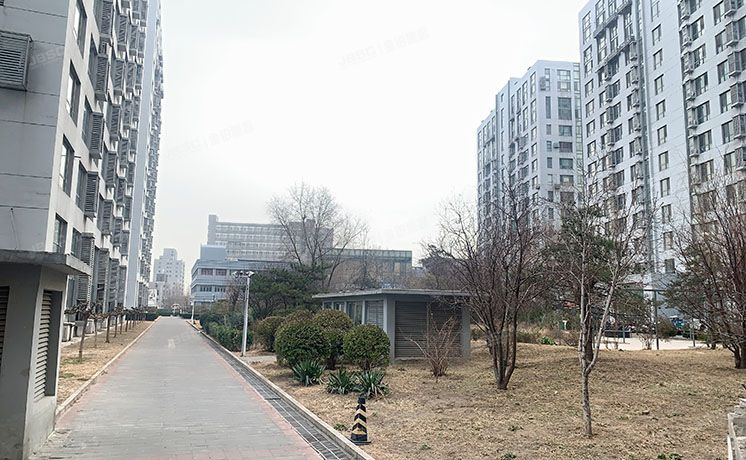 经济技术开发区 博兴九路2号院6号楼1至2层101（好景国际）科研