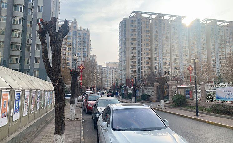 丰台区 新发地锦程园甲15号楼5层509（天伦锦城）