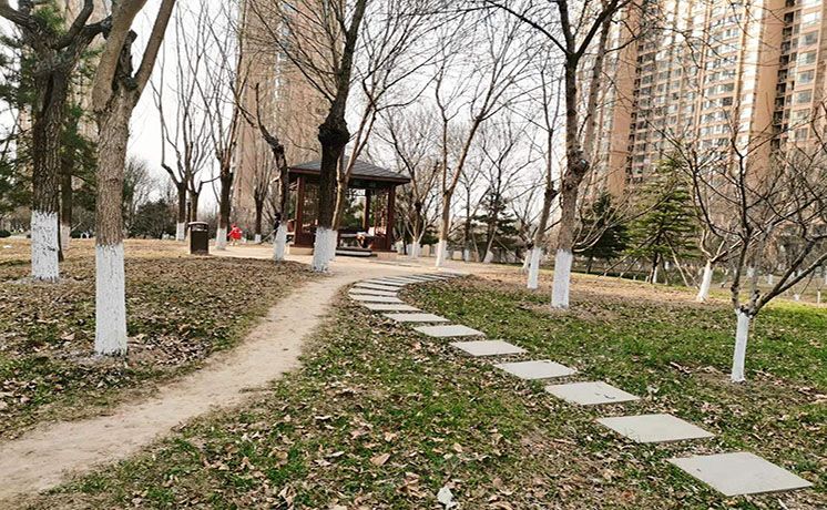 朝阳区 水岸中街19号院15号楼2单元2501室（世华泊郡）