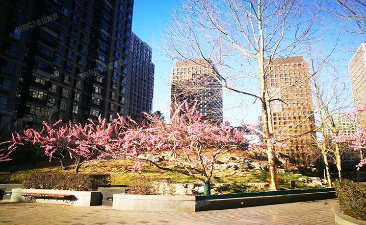 东城区 香河街1号院1号楼4层506号（万国城MOMA）