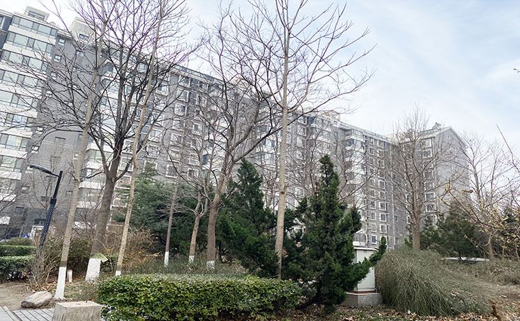 朝阳区 北沙滩1号院19号楼8层2单元801号（北沙滩1号院）