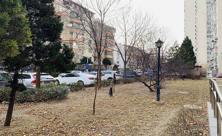 朝阳区 南湖东园105号楼12层1205号（南湖东园一区）