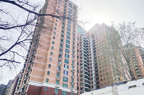 西城区 南滨河路23号3号楼15层1505（立恒名苑）