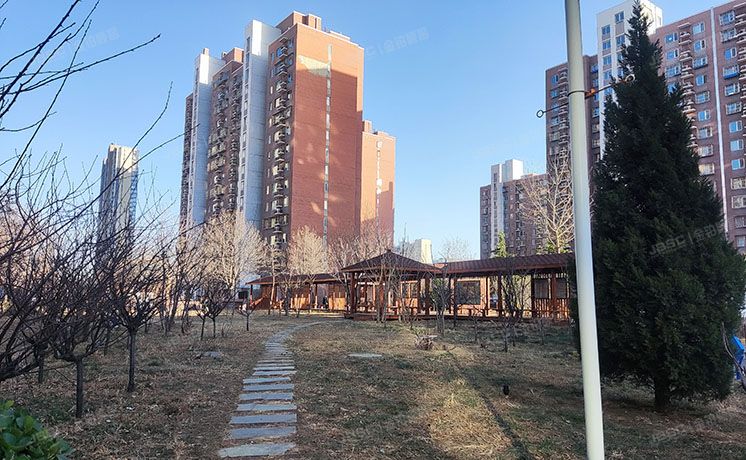 大兴区 枣园巷2号院5号楼13层2单元1303（枣园尚城南区）