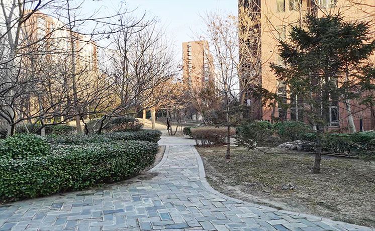 朝阳区 望京东园517号楼9层2单元1004（融科橄榄城）