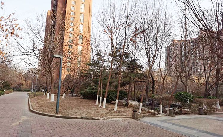 朝阳区 望京东园517号楼9层2单元1004（融科橄榄城）