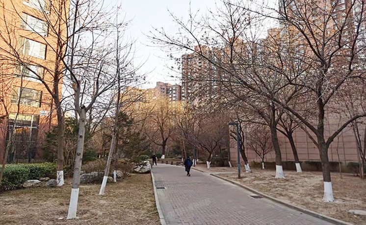 朝阳区 望京东园517号楼9层2单元1004（融科橄榄城）