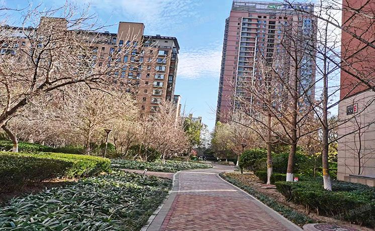 朝阳区 金蝉欢乐园2号院4号楼4层6单元0401（华侨城）