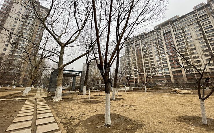 朝阳区 黄厂南里2号院21号楼11层3单元1207（富力又一城B区）