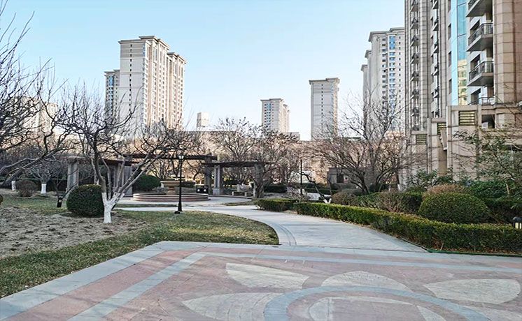 朝阳区 辛庄一街26号院1号楼4层1单元501号（泛海国际）