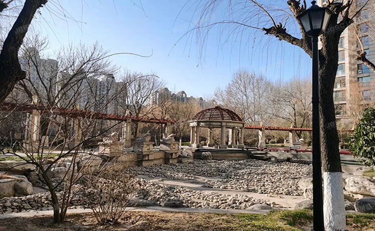 朝阳区 辛庄一街26号院1号楼4层1单元501号（泛海国际）