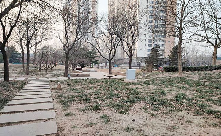 通州区 杨庄北里4号楼5层1单元503（天时名苑）