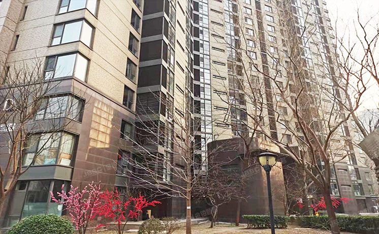 朝阳区 曙光西里甲5号院5号楼4层503（凤凰城）