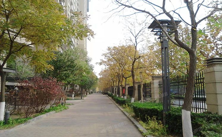 朝阳区 清林路一号院六号楼14层五单元1703室（世茂奥临花园）