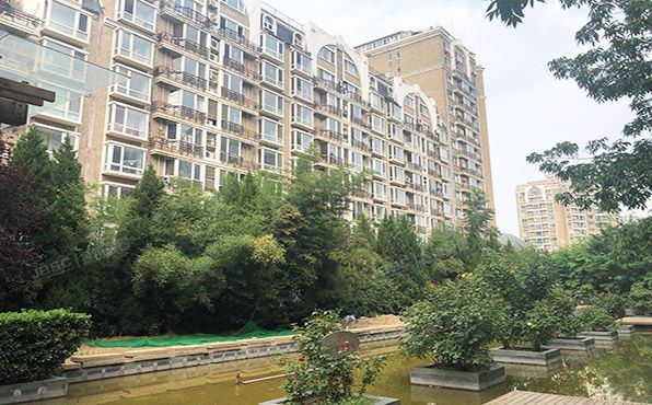 朝阳区 西大望路19号1号楼10层B座1005号（金港国际）