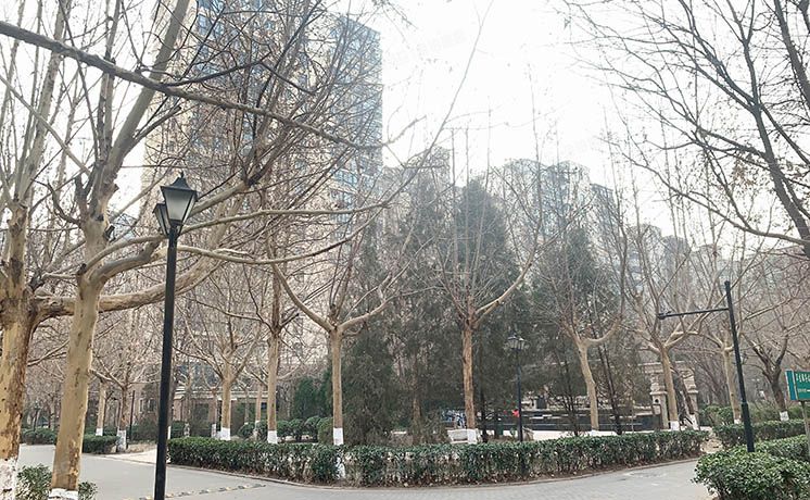 丰台区 骏景园北区2号楼9层1-903号（珠江骏景北区）