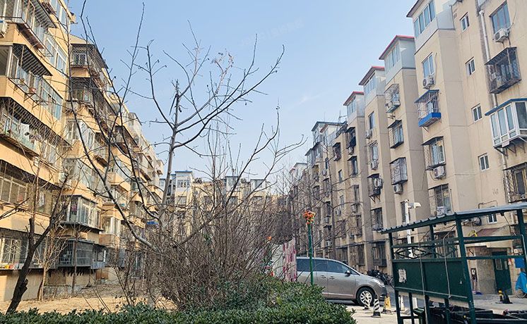 朝阳区 南湖中园236号楼6层1单元602（南湖中园）