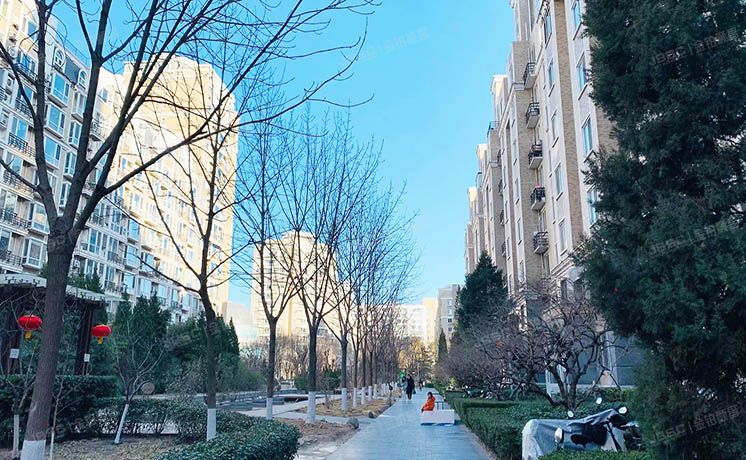 朝阳区 西大望路19号1号楼10层B座1001号（金港国际）