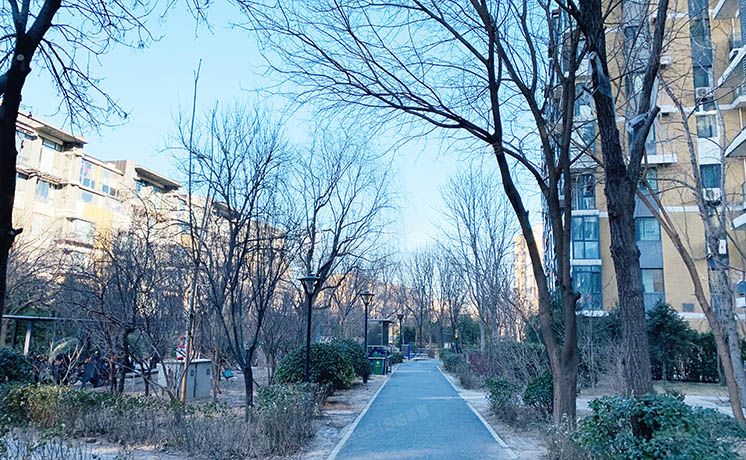 朝阳区 单店西路15号院19号楼2层2单元202（首开常青藤C区）