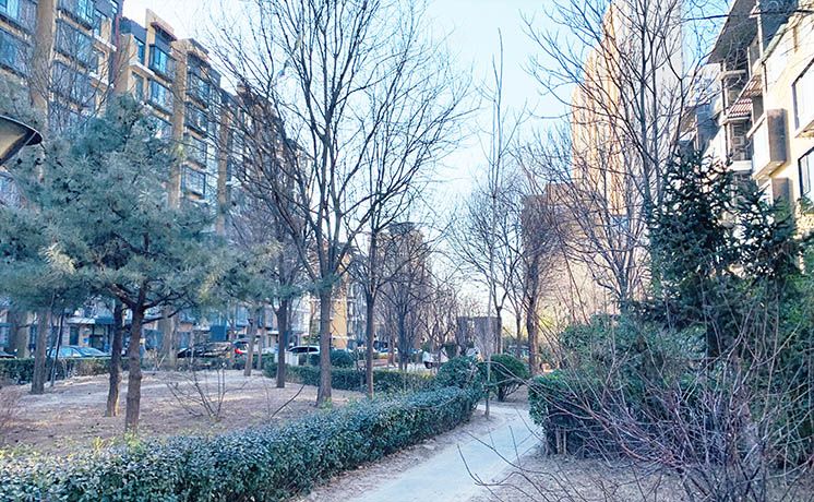 朝阳区 单店西路15号院19号楼2层2单元202（首开常青藤C区）