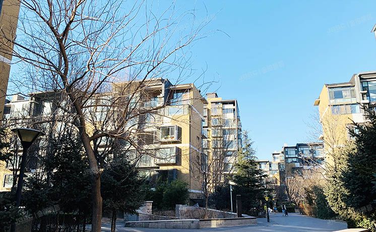 朝阳区 单店西路15号院19号楼2层2单元202（首开常青藤C区）