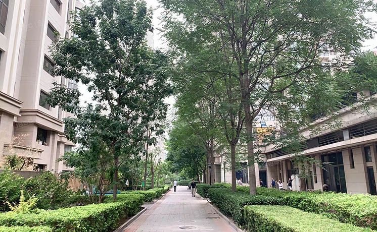 朝阳区 雅成二里6号楼1层二单元106（天鹅湾北区）