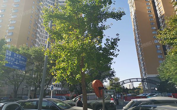 朝阳区 林萃西里48号楼1层101（澳林春天）