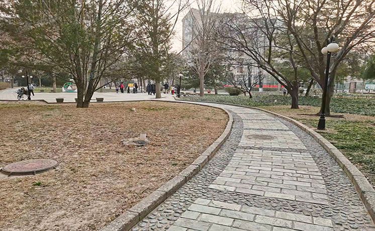 东城区 北京新世界家园6号楼2层1单元201室（新世界家园）