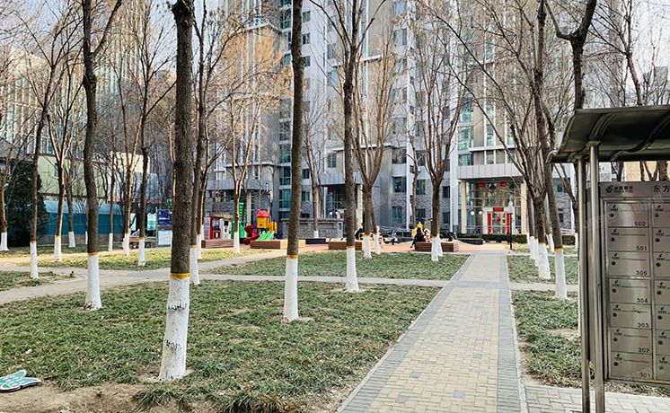 朝阳区 西大望路63号院2号楼8层1单元901（东方雅苑）