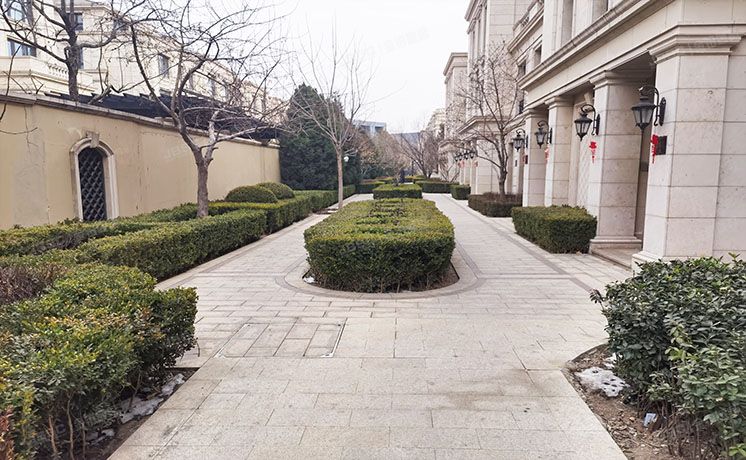 大兴区 鹿华路8号院12号楼1至2层103（枫丹壹号）