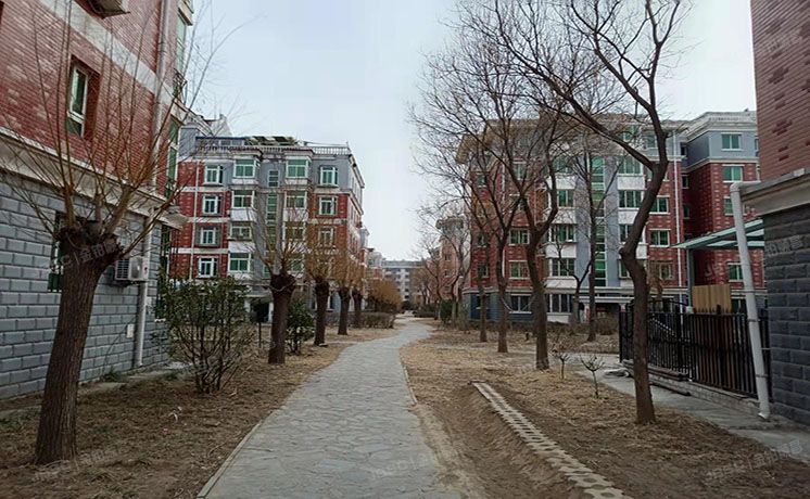 房山区 韩村河镇雅苑29号4层3单元401（雅苑小区）