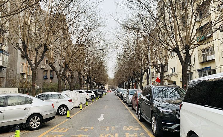 东城区 东花市北里中区9号楼5层1门501（东花市北里中区）