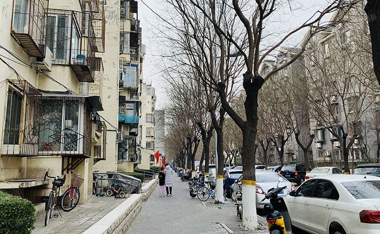 东城区 东花市北里中区9号楼5层1门501（东花市北里中区）