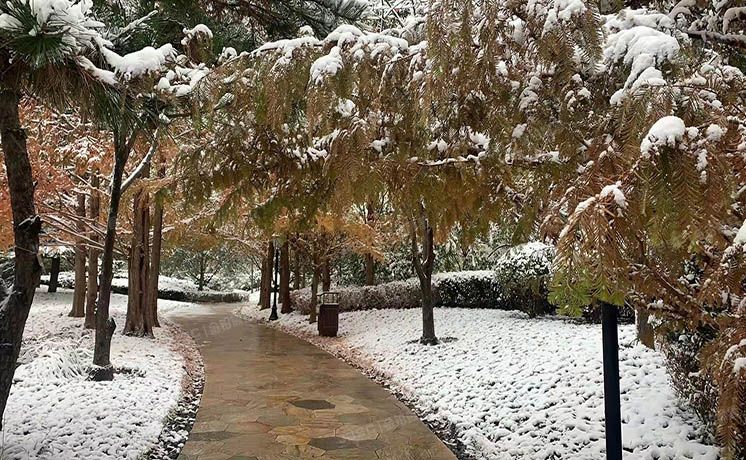 海淀区 德惠路1号院10号楼4层1单元518号（西山壹号院）