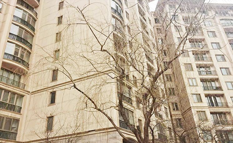 朝阳区 四季星河中街1号院7号楼10层1单元1103号（星河湾朗园）