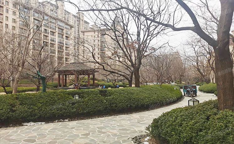 朝阳区 四季星河中街1号院7号楼10层1单元1103号（星河湾朗园）