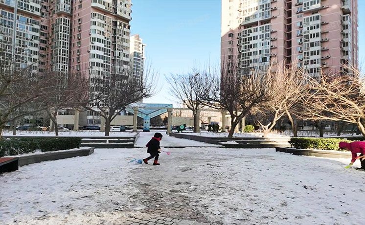 朝阳区 晨光家园218号楼3层东单元306（晨光家园）